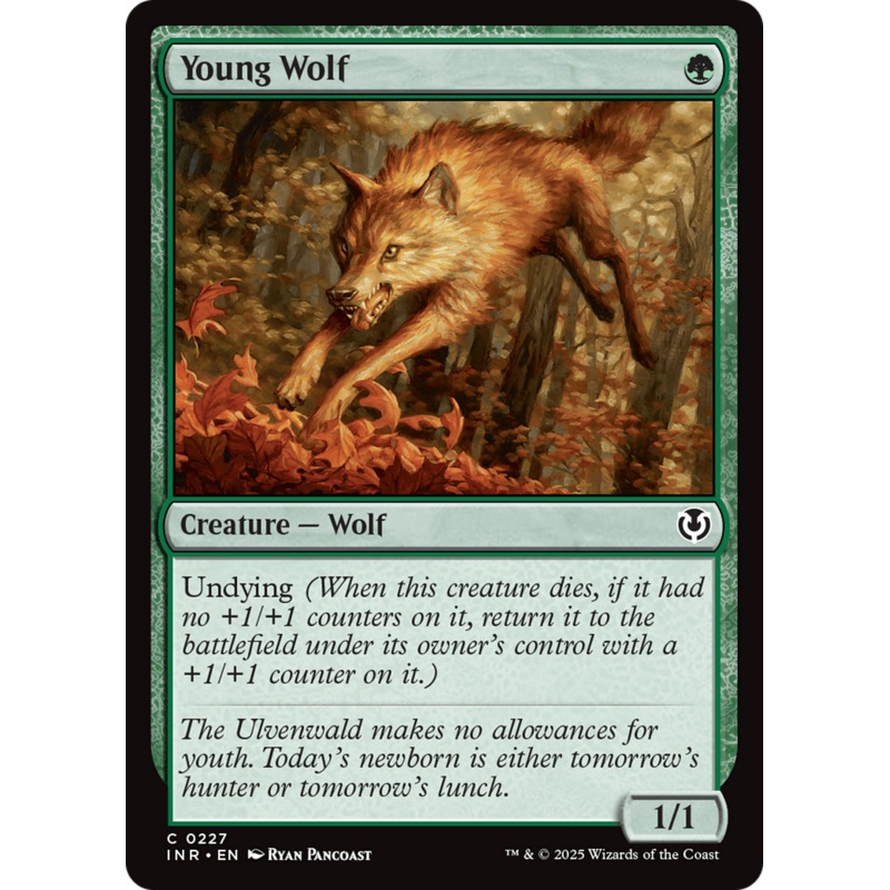 Young Wolf [Innistrad Remastered]